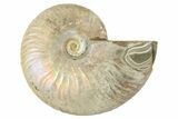 2.8" Silver, Iridescent Ammonite Fossil - Madagascar - #191894-1